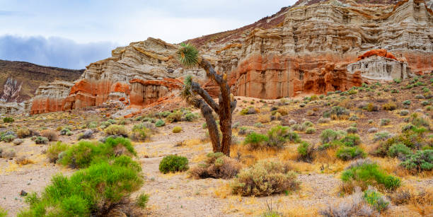 istock Red Rock Canyon State Park, California 1840577104