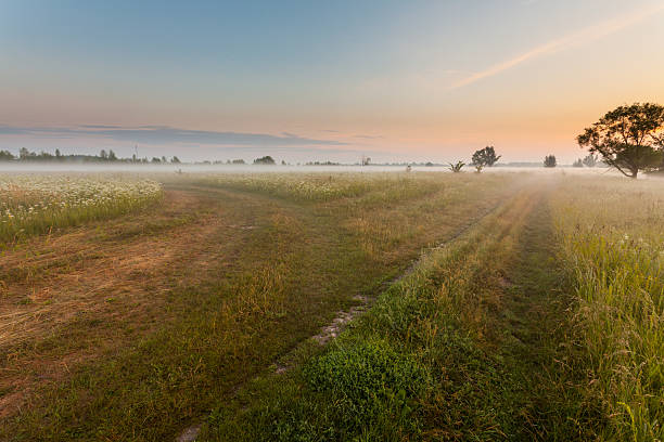 istock morning sunshine with fog 184058781
