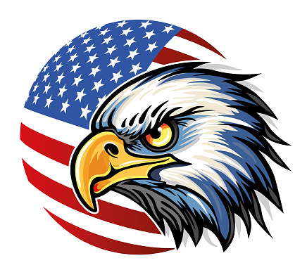 American bald eagle head with american flag illustration ( Haliaeetus leucocephalus )