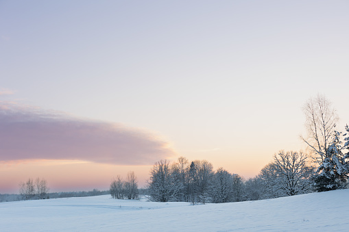 Winters Sunset in the countryside with trees in the background
