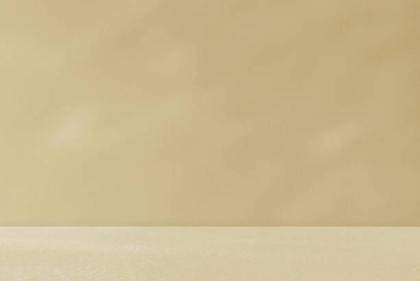 istock Empty cream brown beige room studio with sunlight effect shadow on the wall and floor. Minimal background for product presentation. 1840612997