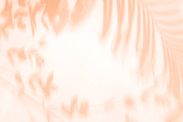 istock Shadows of a palm tree in sunlight on a light background. Beautiful summer background trendy peach color color background 1840613520
