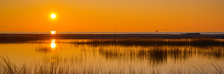 Golden sunrise over Long Island Sound. Tranquil seascape over the marshland at low tide.