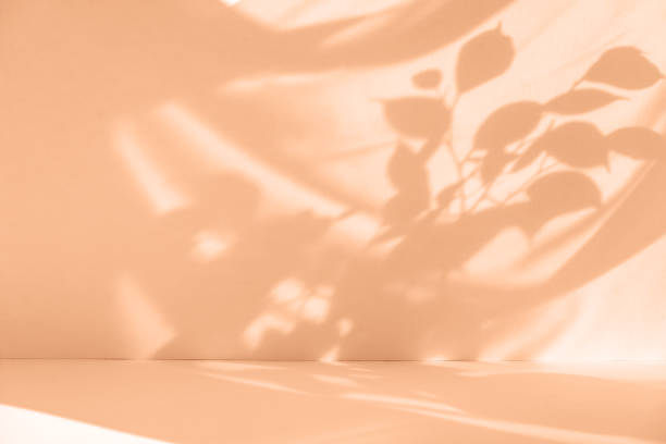 istock Tropical leaf shadow blank background composition for product presentation. The background is beige. Beautiful trendy peach color color background. 1840614551