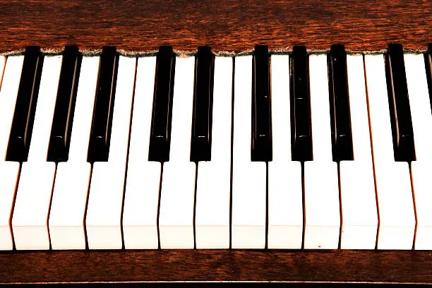 Photo of Details of black and white keys on music keyboard