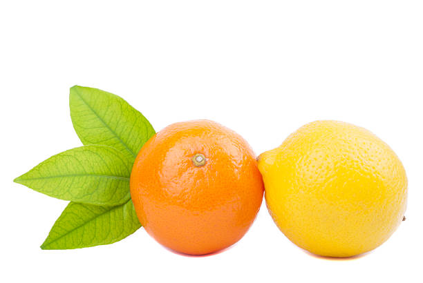 istock Tangerine and lemon on a white background. 184064208