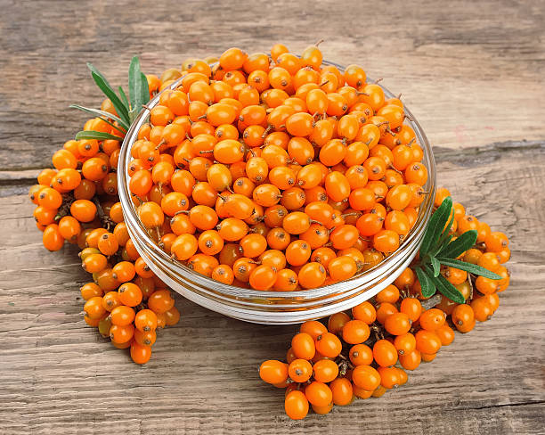 istock Sea buckthorn berries 184064836