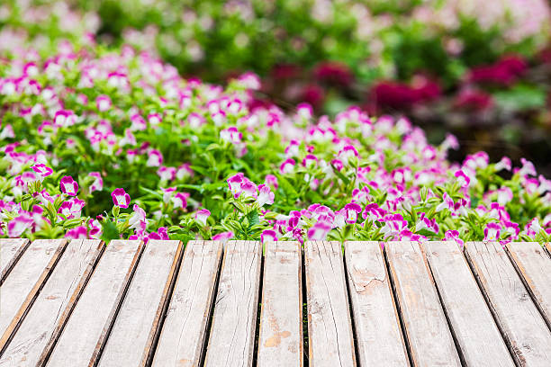 花のガーデン - old plank outdoors selective focus ストックフォトと画像