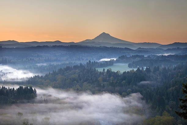 istock Foggy Sunrise Over Sandy River and Mount Hood 184065394