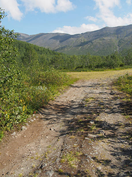 estrada nas montanhas - putelichorr imagens e fotografias de stock