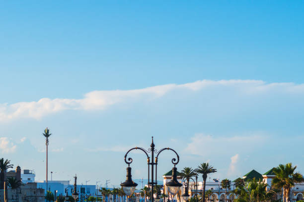 istock A large cloud is approaching the city with streets with lanterns and palm trees 1840655507