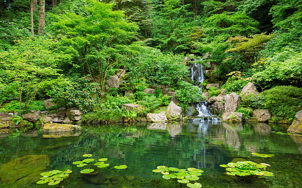 istock Beautiful Japanese Garden 184066497