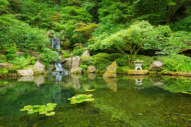 istock Beautiful Japanese Garden 184066499