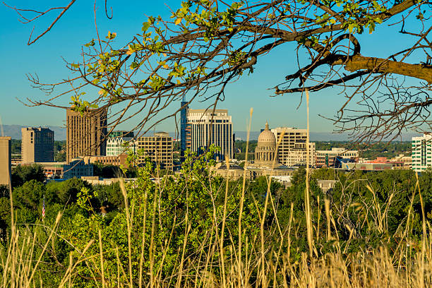 istock Idaho state capital from the country tree and grass 184066610