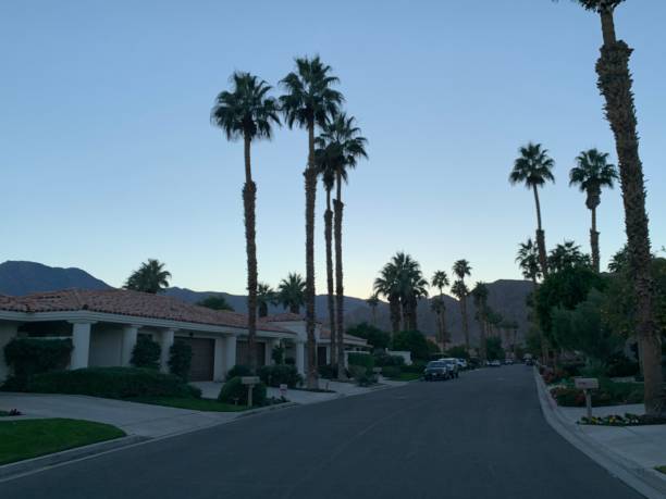 calle con árboles - palm springs california fotografías e imágenes de stock