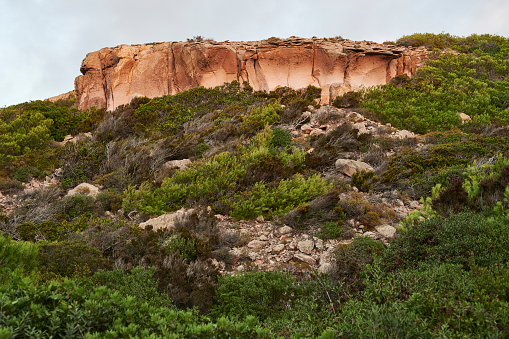 A wild hill at Punta delle Oche. Carloforte. San Pietro Island. Province of South Sardinia. Sardinia. Italy.