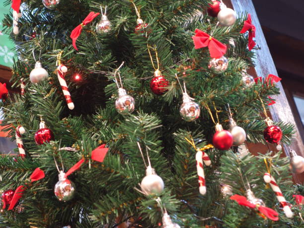 istock In ancient times, the Christmas tree meant a tree in paradise. 1840692908