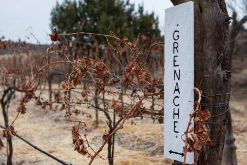 A Grenach vineyard sign during winter near Cottonwood in Arizona, USA