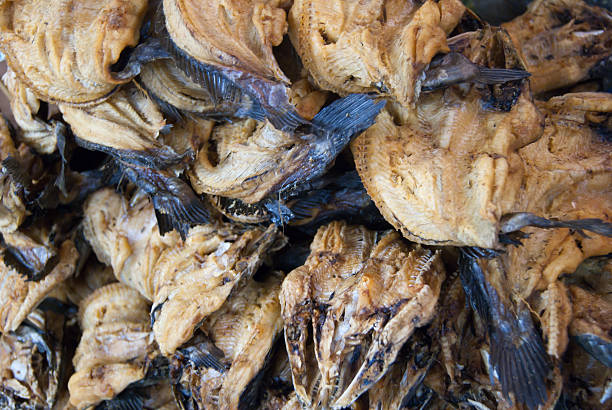 istock Dried water fishes 184071209