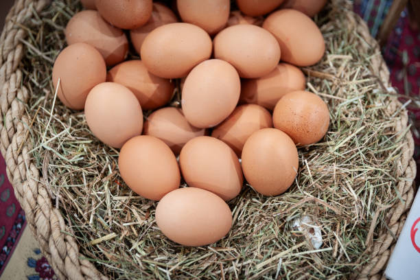 istock Basket full of eggs, Cannes 1840714148
