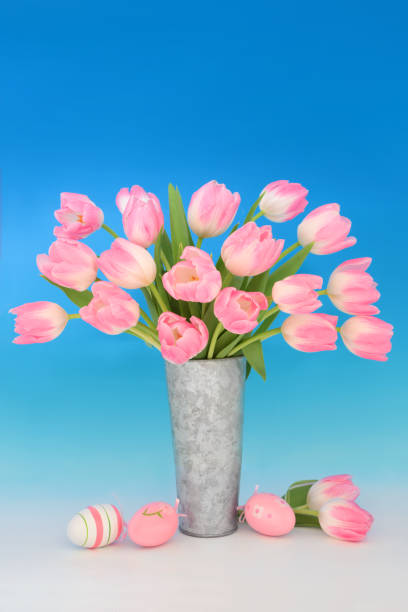 Spring tulip flower arrangement and pink easter eggs on gradient blue white background. Floral nature fun food design for the holiday season.
