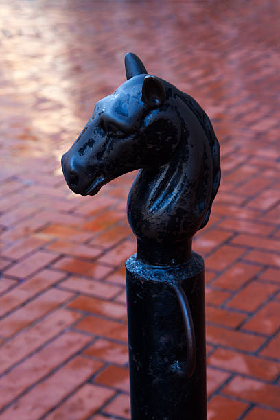 istock Icon of New Orleans 184072348