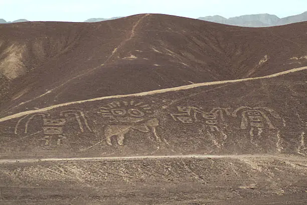 Figures in the desert of Palpa, Nazca (Peru)