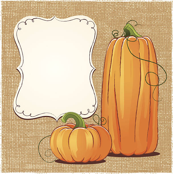 Big and small squash trying to solve the blank board dilemma Two pumpkins, burlap texture background gourd stock illustrations