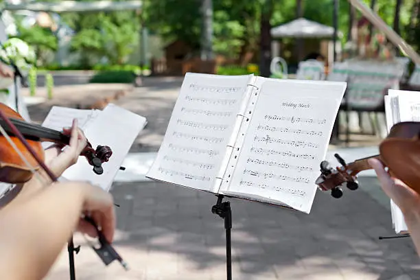 Photo of Violinist on wedding ceremony