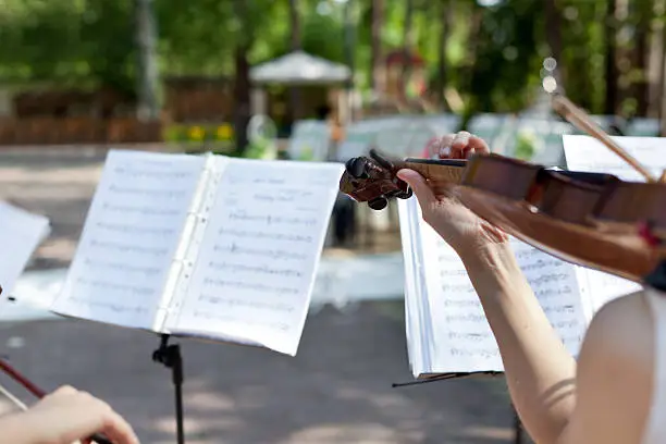 Photo of Violinist on wedding ceremony