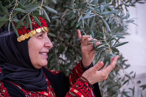 Portrait Of woman wearing palestinian traditional clothes in olive trees field holding branch in her hand with smile on her face
