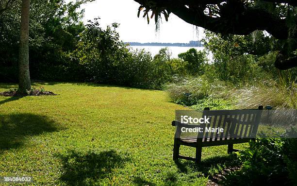 Jardim Tropical E Banco - Fotografias de stock e mais imagens de Banco - Assento - Banco - Assento, Cadeira, Canteiro de flores