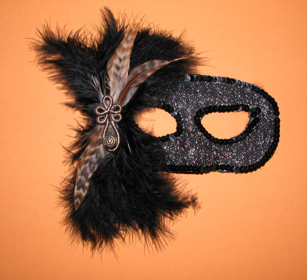 Feathered mask stock photo