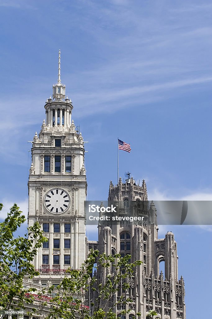 Tribune Tower, Wrigley Building - Zbiór zdjęć royalty-free (Architektura)