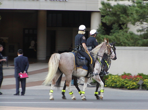 city cops on horseback. slight motion blur on horses' feet.