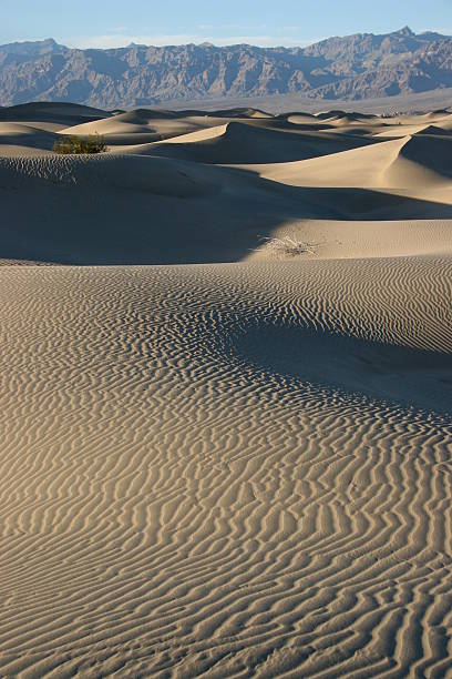 Sand Dunes, Death Valley. stock photo