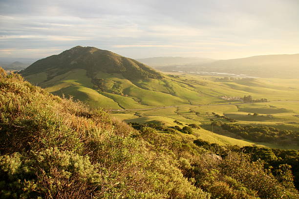 green valley con vista a las montañas - hill green california grass fotografías e imágenes de stock