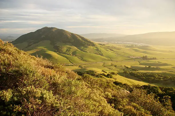 "Near sunset view of a bright green misty valley with a large extinct volcanic mountain in the background.  San Luis Obispo, CA, USA.  December 25th, 2004."