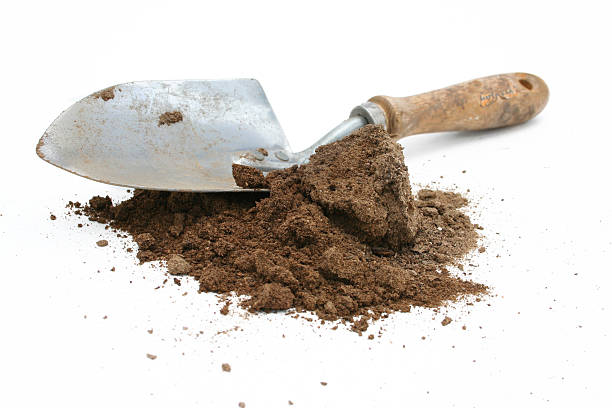 грязный spade (4 - trowel shovel gardening equipment isolated стоковые фото и изображения