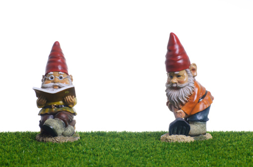 Garden Gnomes working