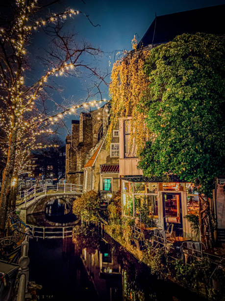 Decorative lights in the tree by a canal in de medieval, European city of Delft. Known for being the home of the Delft university of Technology (TU Delft). The bridge is reflected in the canal water.