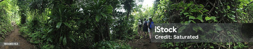 파노라마: 없어도 에서 정글 트레일 - 로열티 프리 360도 촬영 스톡 사진