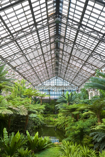 Greenhouse with many green plants