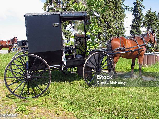 Amish Horse And Buggy Hitched2 Stock Photo - Download Image Now - Amish, Animal, Animal Harness