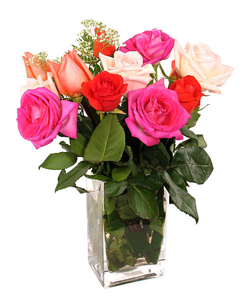 Dozen Multi-Colored Roses One dozen multi-colored fresh roses in a glass vase. dozen roses stock pictures, royalty-free photos & images