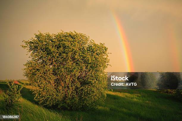 Spettacolare Arcobaleno Cielo - Fotografie stock e altre immagini di Agricoltura - Agricoltura, Ambientazione esterna, Ambiente