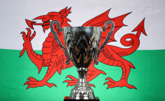 Trophy in front of a Welsh Flag