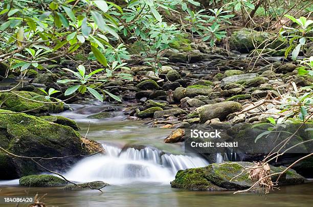 Riacho De Boggs - Fotografias de stock e mais imagens de Ao Ar Livre - Ao Ar Livre, Cor verde, Corrente - Água corrente