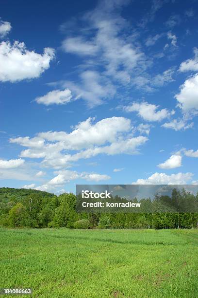 Foto de Campo Verdepaisagem e mais fotos de stock de Agricultura - Agricultura, Ajardinado, Azul