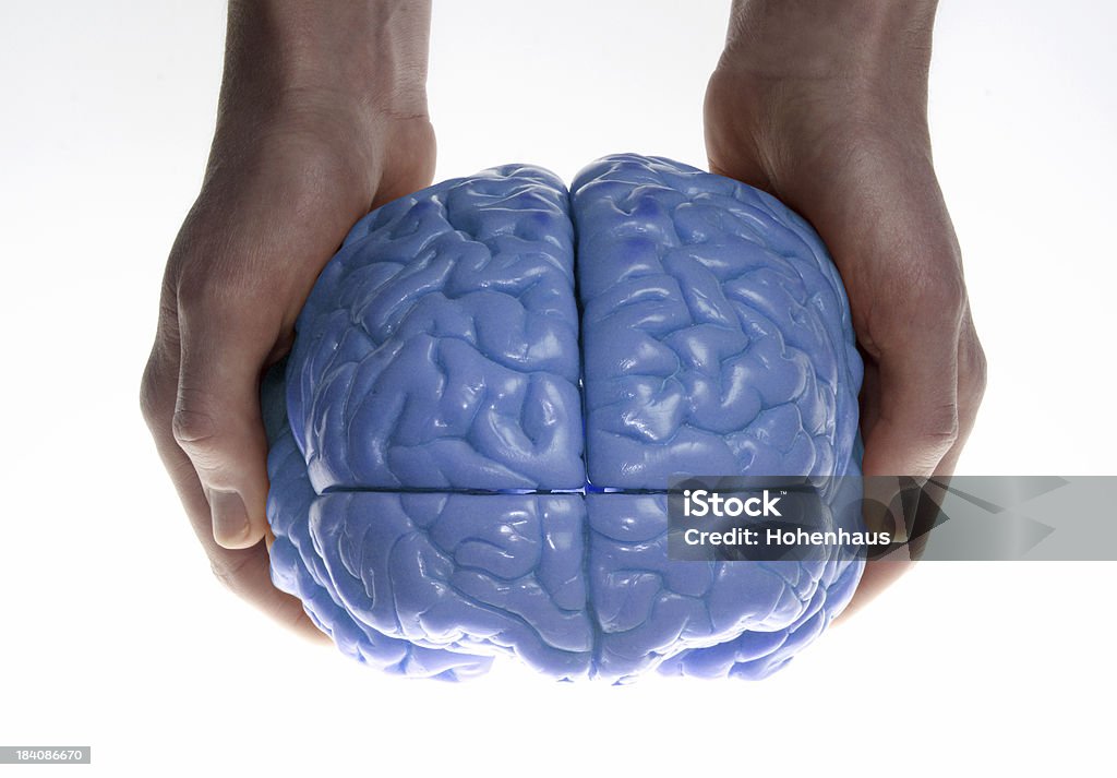 Mutter Natur Gehirn - Lizenzfrei Anatomie Stock-Foto